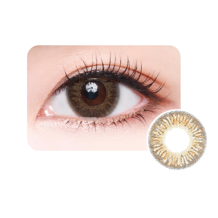 Milovat 日拋 | 雪紡 Chiffon Brown | 10片