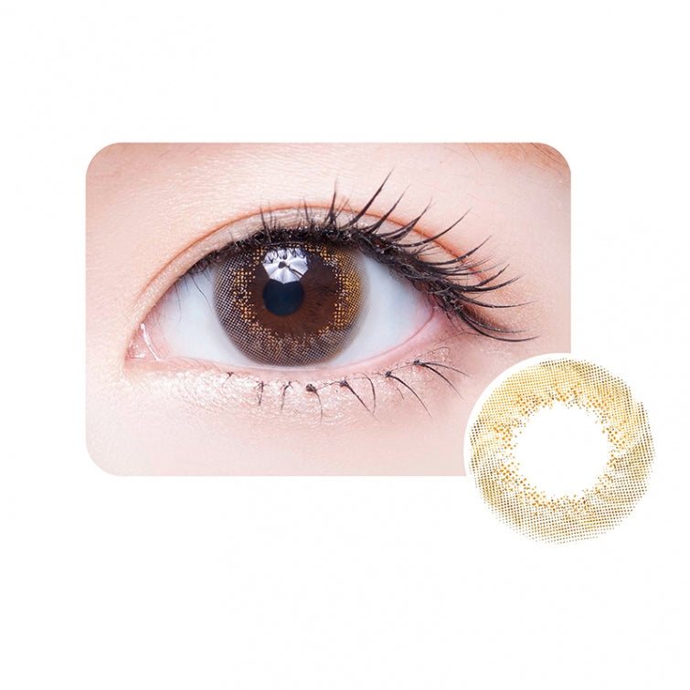 Deesse 日拋10片 | 月光琥珀 Moonlight Amber