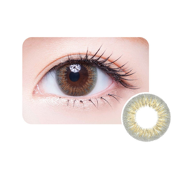 Deesse 日拋10片 | 暮光森林 Twilight Green