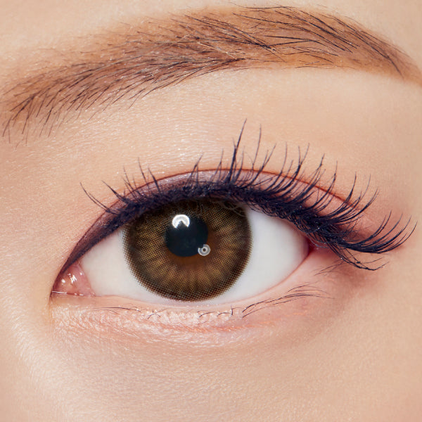 OLENS 1 DAY Spanish Circle BROWN | 20片