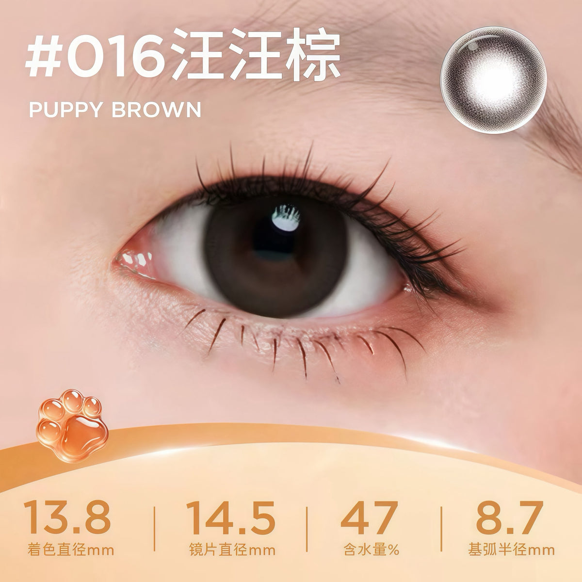 MOODY COLLECTION 1 MONTH - PUPPY BROWN 汪汪棕 | 2片