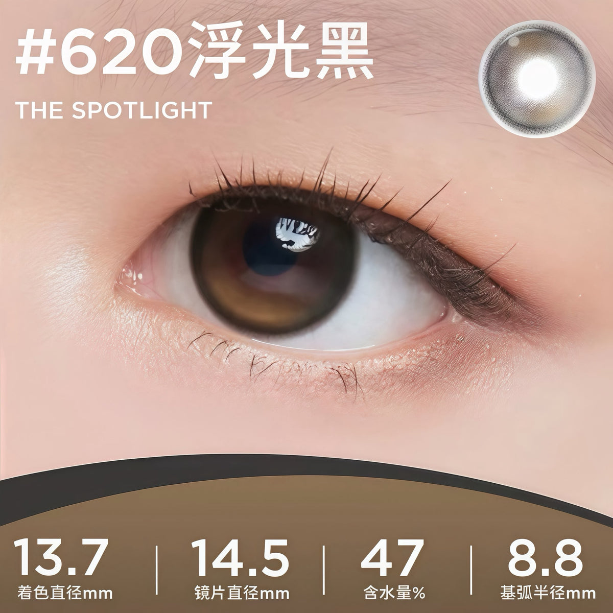 MOODY LIVE COLLECTION 1 DAY - THE SPOTLIGHT 浮光黑 | 10片