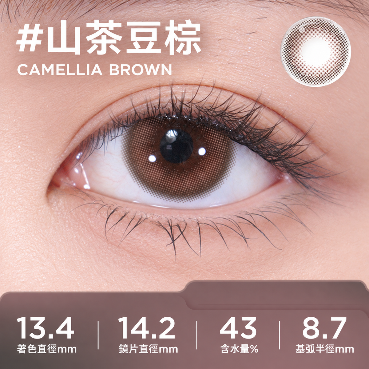 MOODY COLLECTION 1 MONTH - CAMELLIA BROWN 山茶豆棕 | 2片