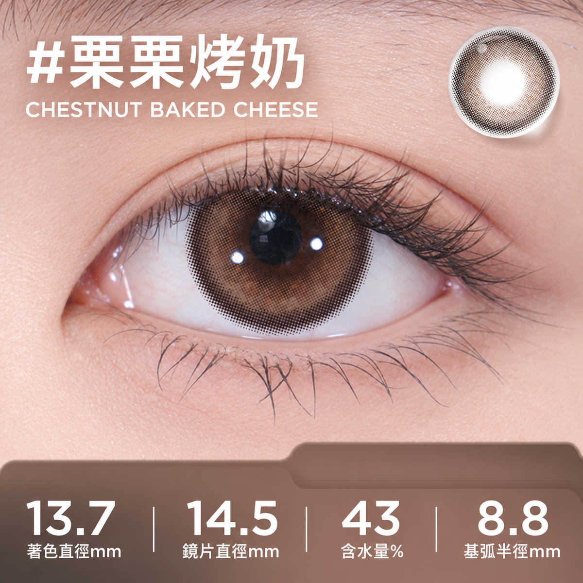 MOODY COLLECTION 1 MONTH -CHESTNUT BAKED CHEESE 栗栗烤奶 | 2片