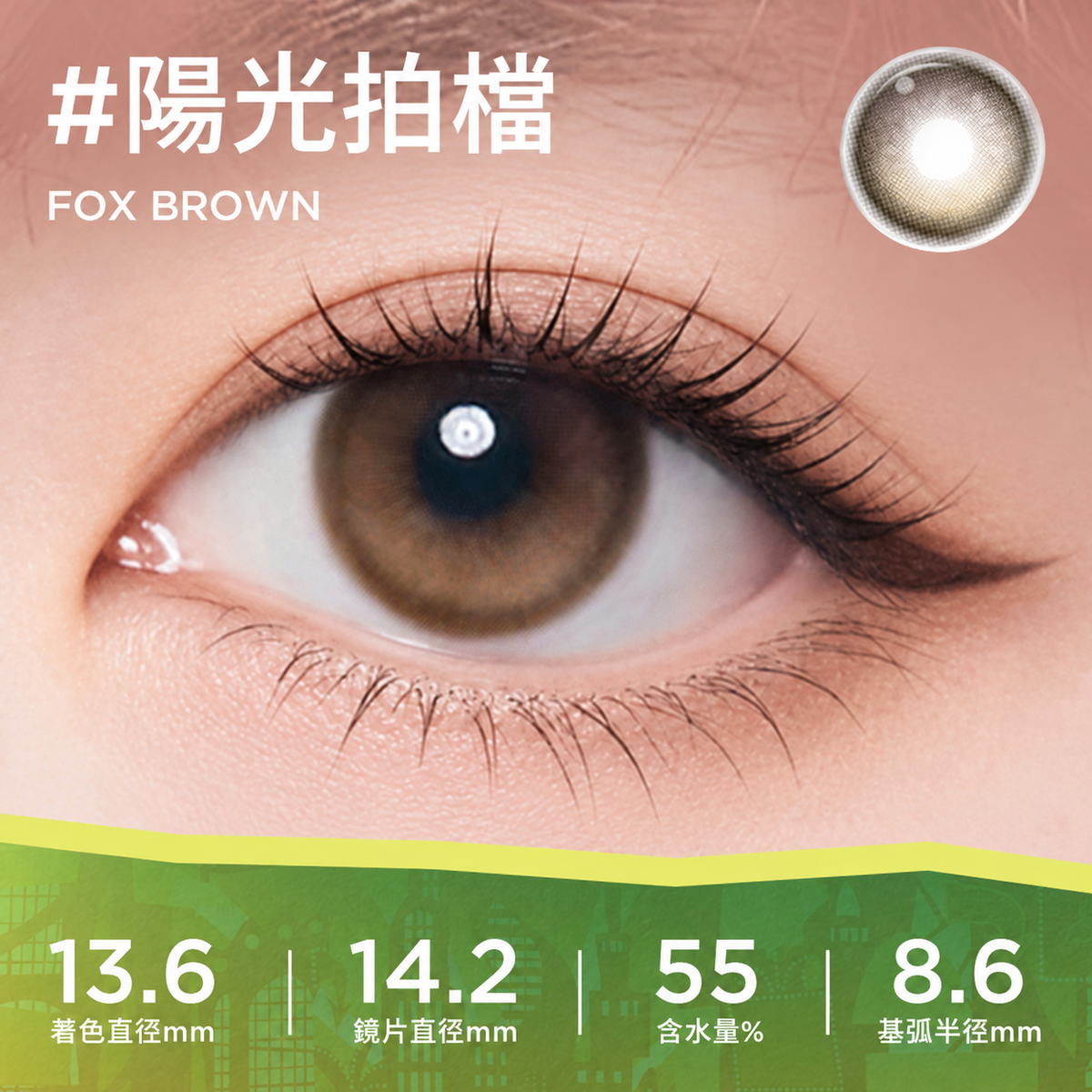 MOODY CLASSIC 1 DAY - FOX BROWN 陽光拍檔 | 10片