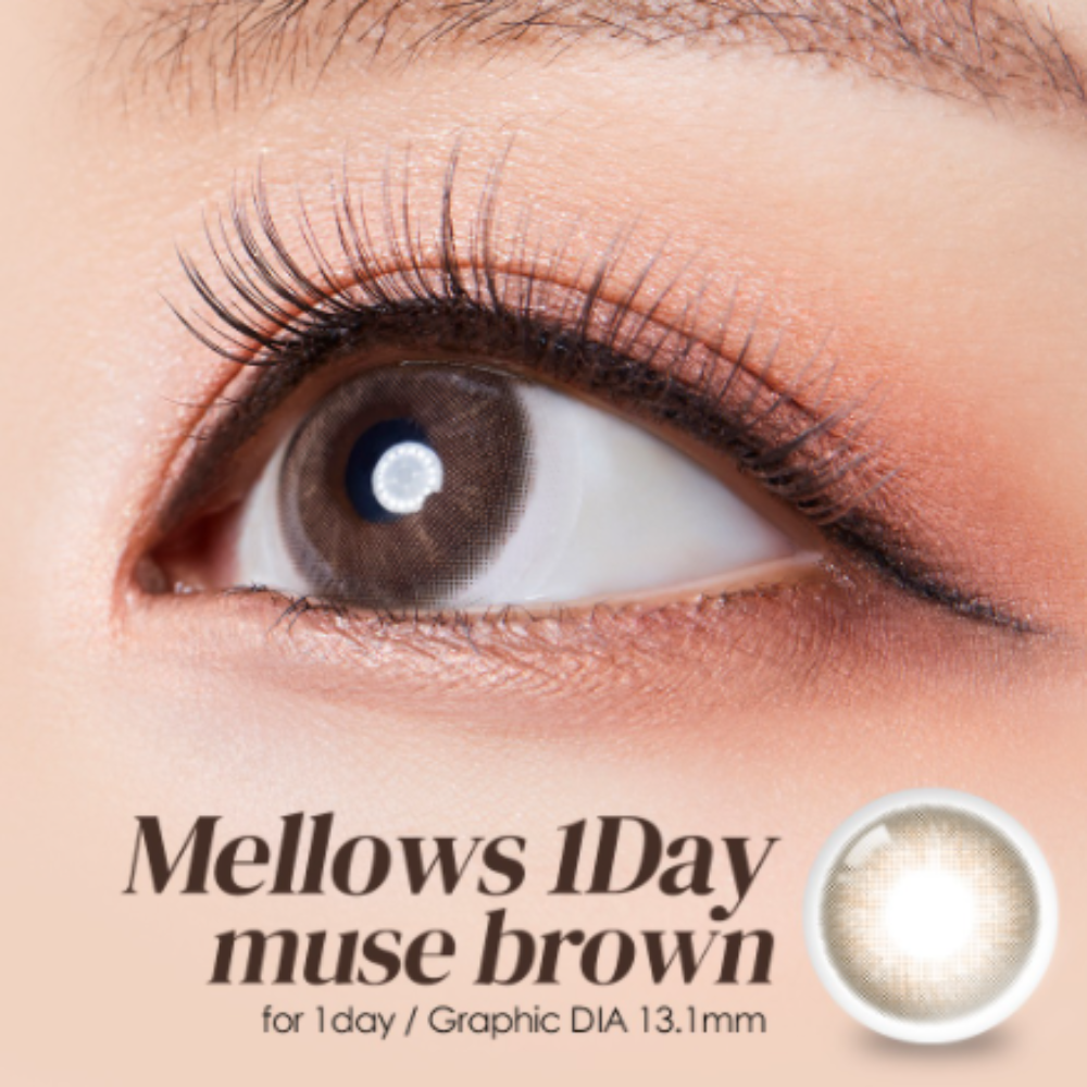 OLOLA 1 Day | 10片裝 | Mellows Muse Brown_2
