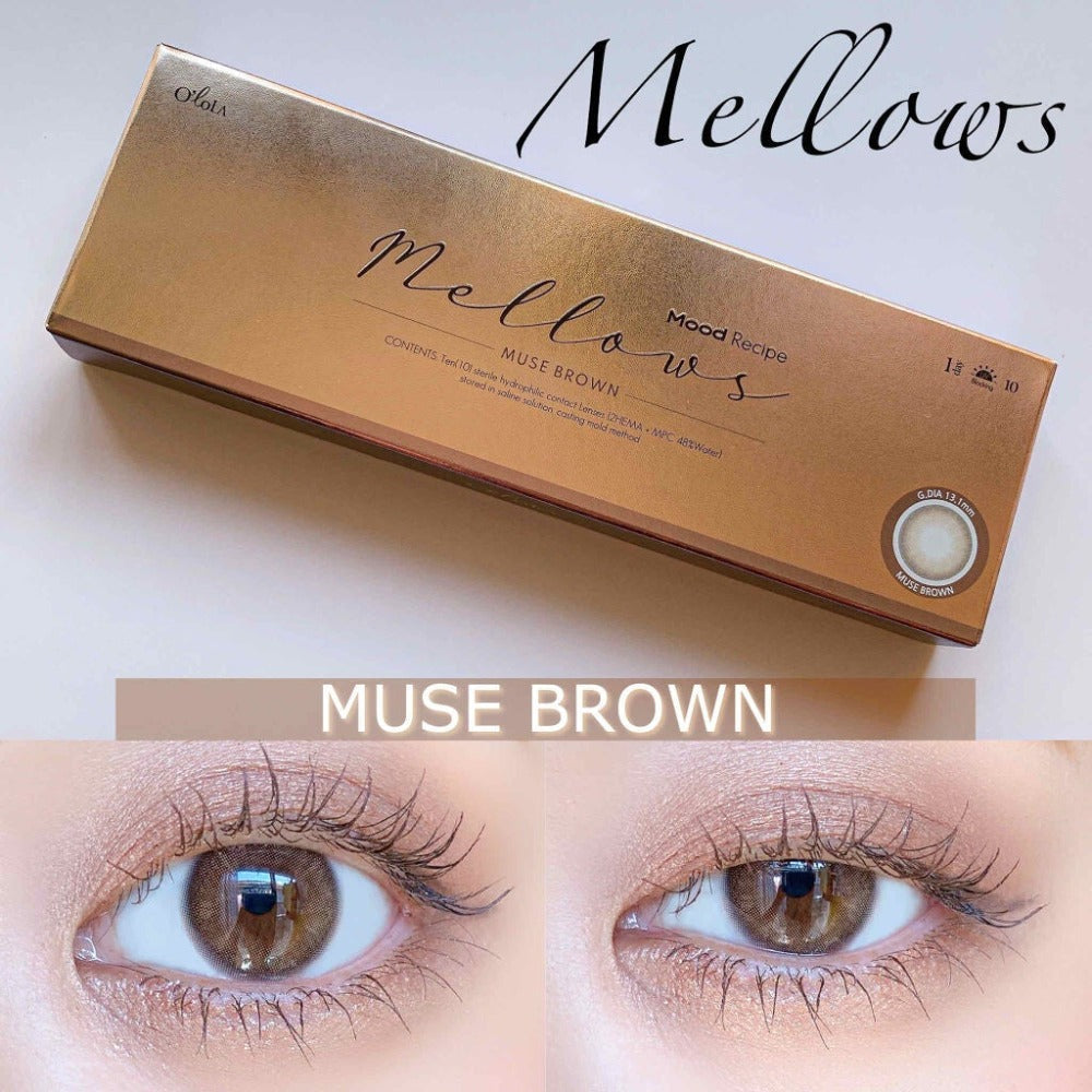 OLOLA 1 Day | 10片裝 | Mellows Muse Brown_3