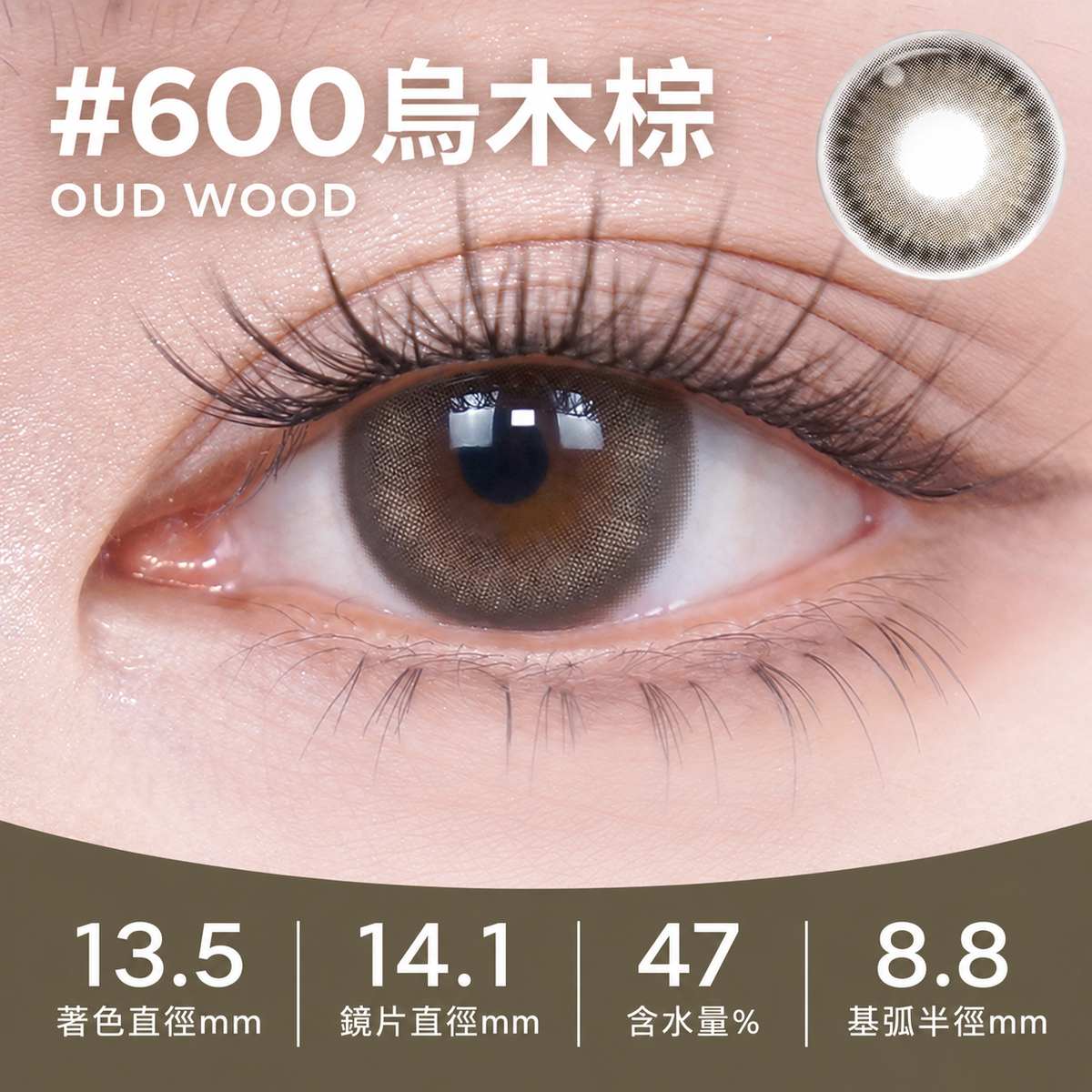 MOODY LIVE COLLECTION 1 DAY - OUDWOOD 烏木棕 | 10片