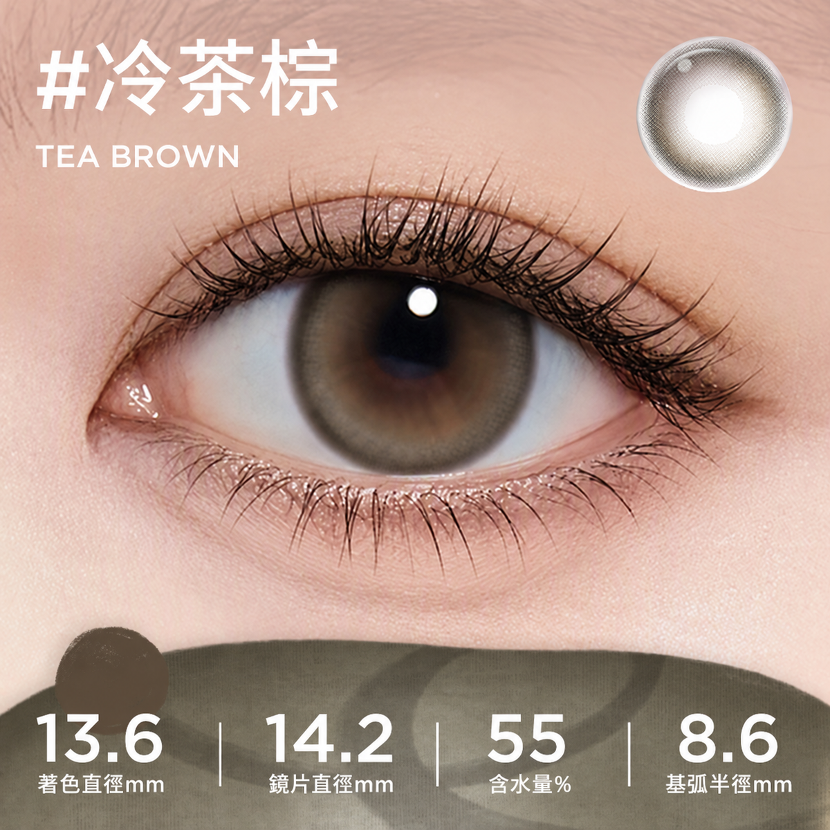MOODY CLASSIC 1 DAY - TEA BROWN 冷茶棕 | 10片