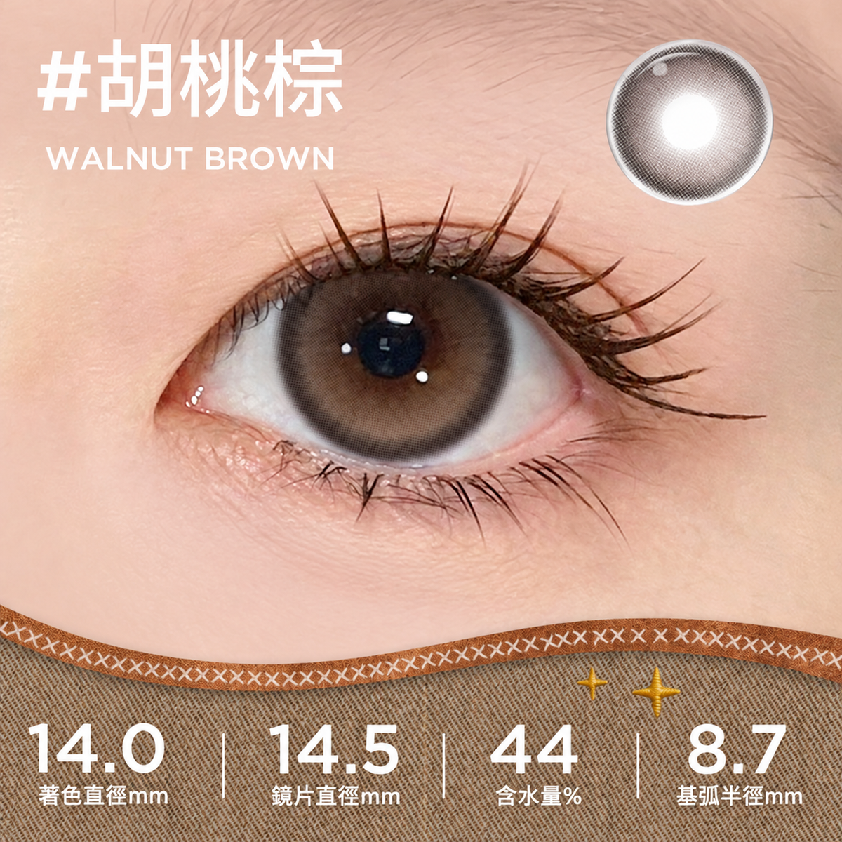 MOODY LIVE COLLECTION 1 DAY - WALNUT BROWN 胡桃棕 | 10片