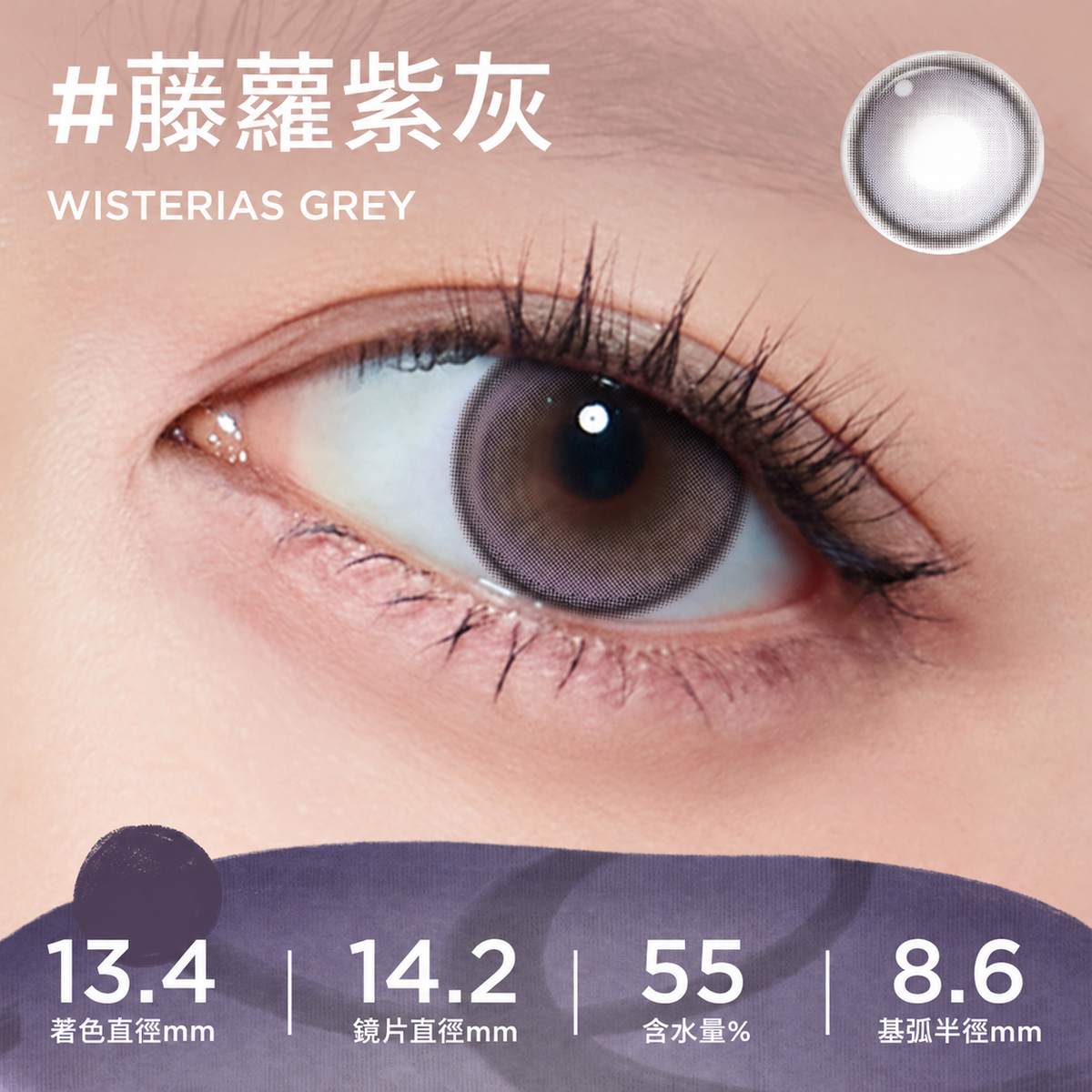 MOODY CLASSIC 1 DAY - WISTERIAS GREY 藤蘿紫灰 | 10片