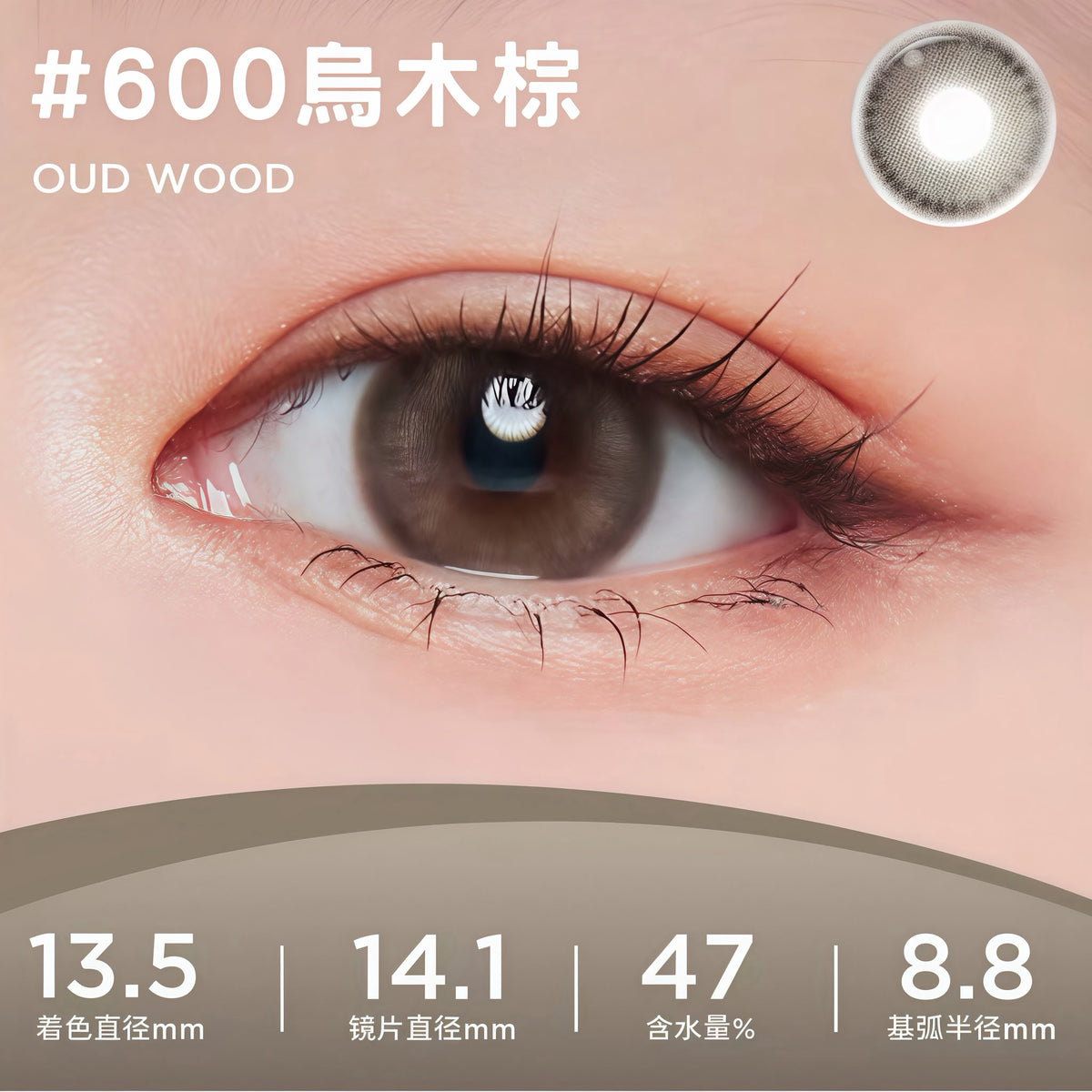 MOODY LIVE COLLECTION 1 DAY - OUDWOOD 烏木棕 | 10片